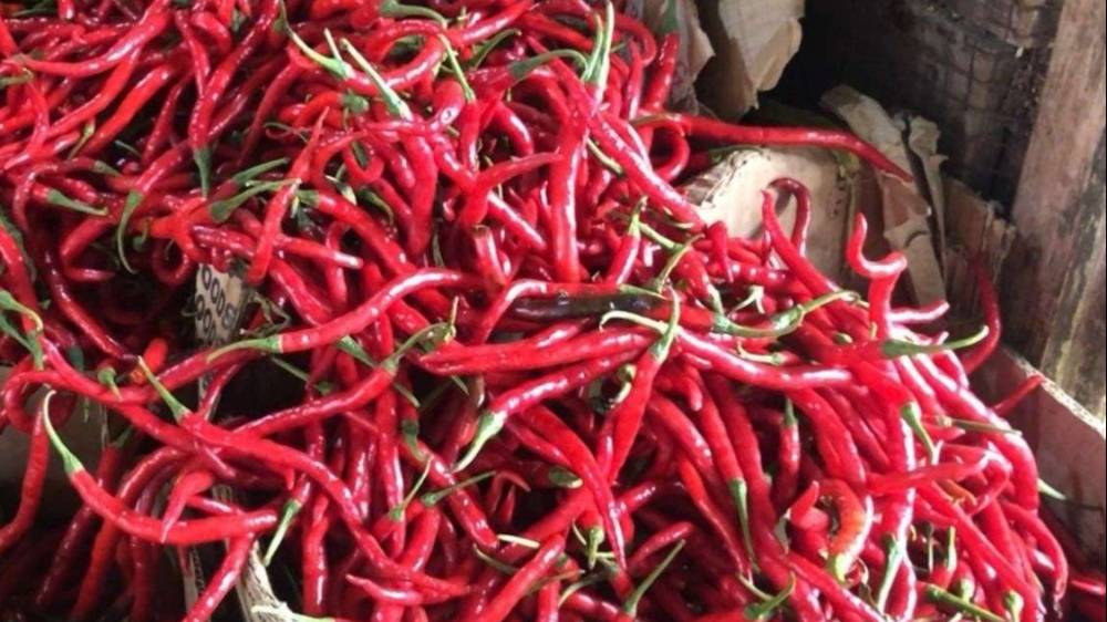 Harga Cabai Keriting di Kediri Naik Rp9.000 per Kilogram