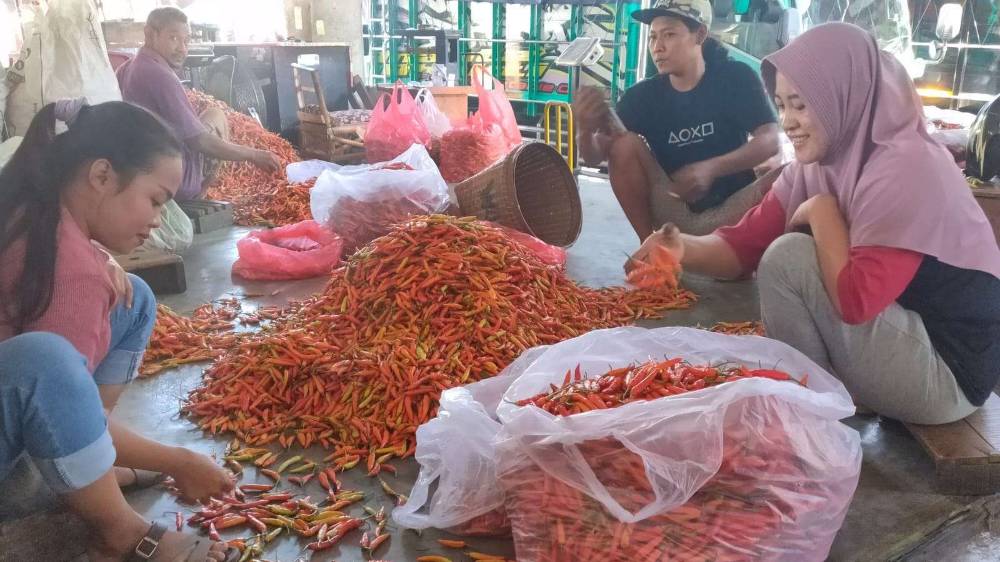 Harga Cabai Rawit Naik Rp2.000 per Kilogram di Pasar Induk Pare