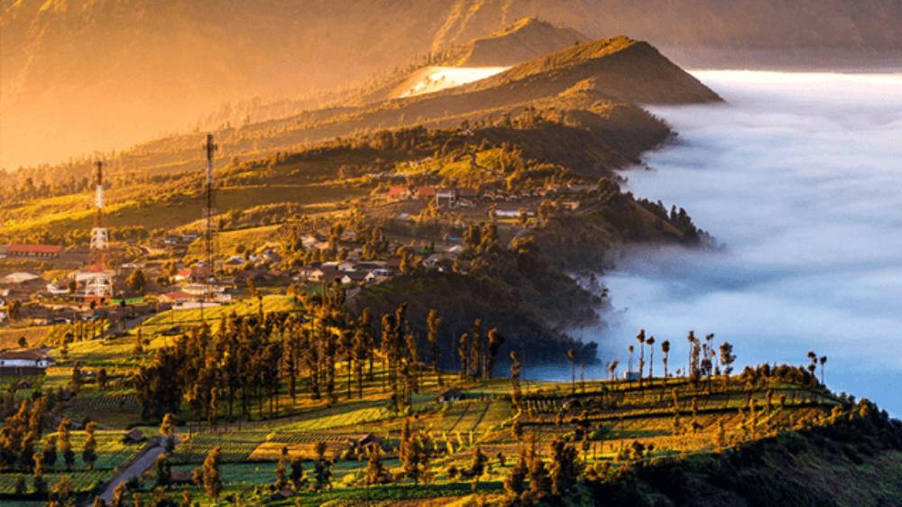 BB TNBTS Siapkan Skema Antisipasi Lonjakan Wisatawan Saat Libur Lebaran