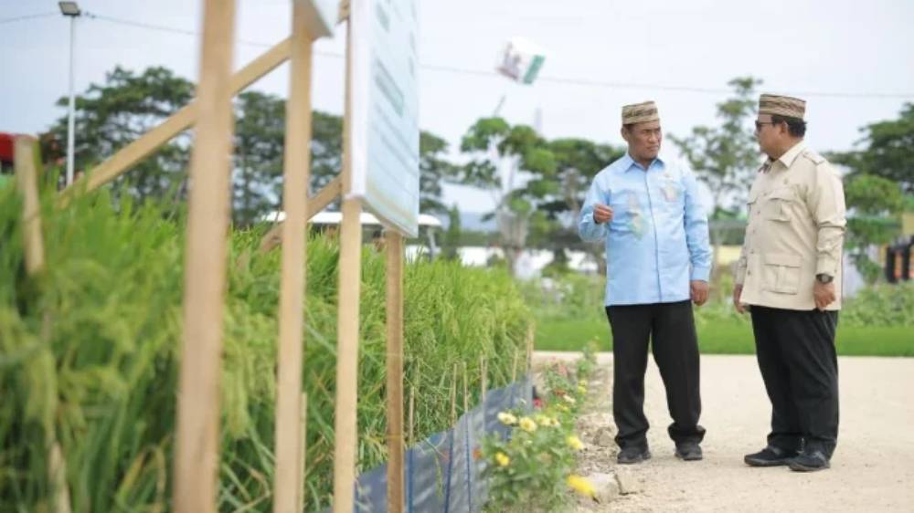 Swasembada Pangan Kian Kokoh, NTP Capai Level Tertinggi dalam 34 Tahun